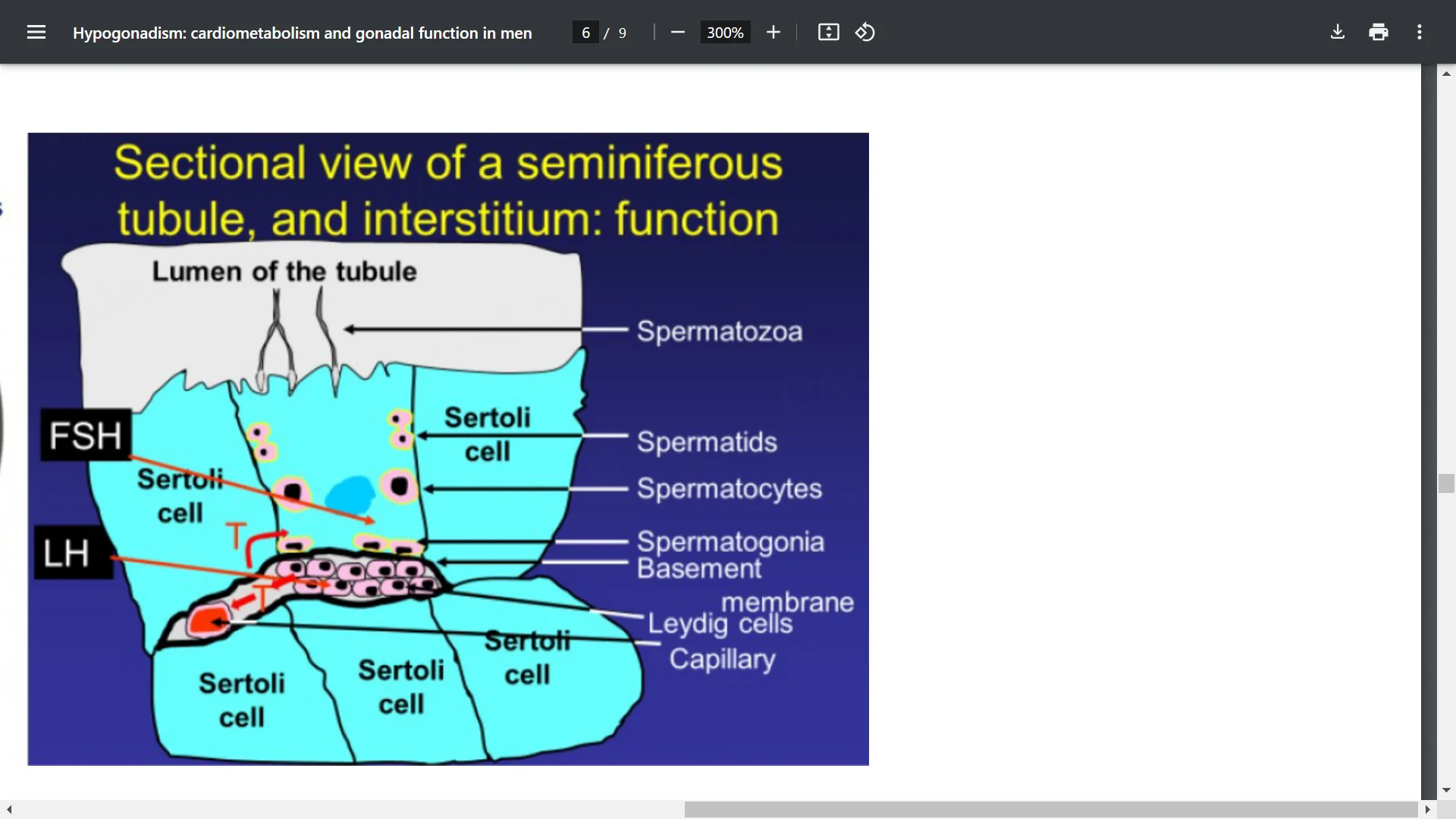 Screenshot (39685).webp