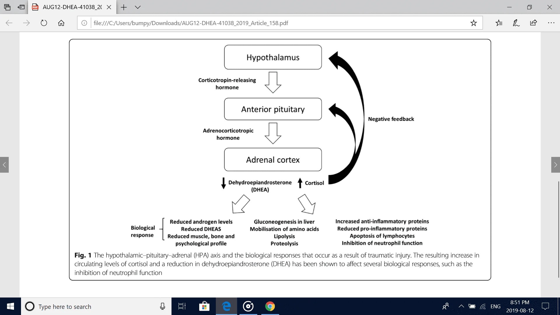 Screenshot (489).webp