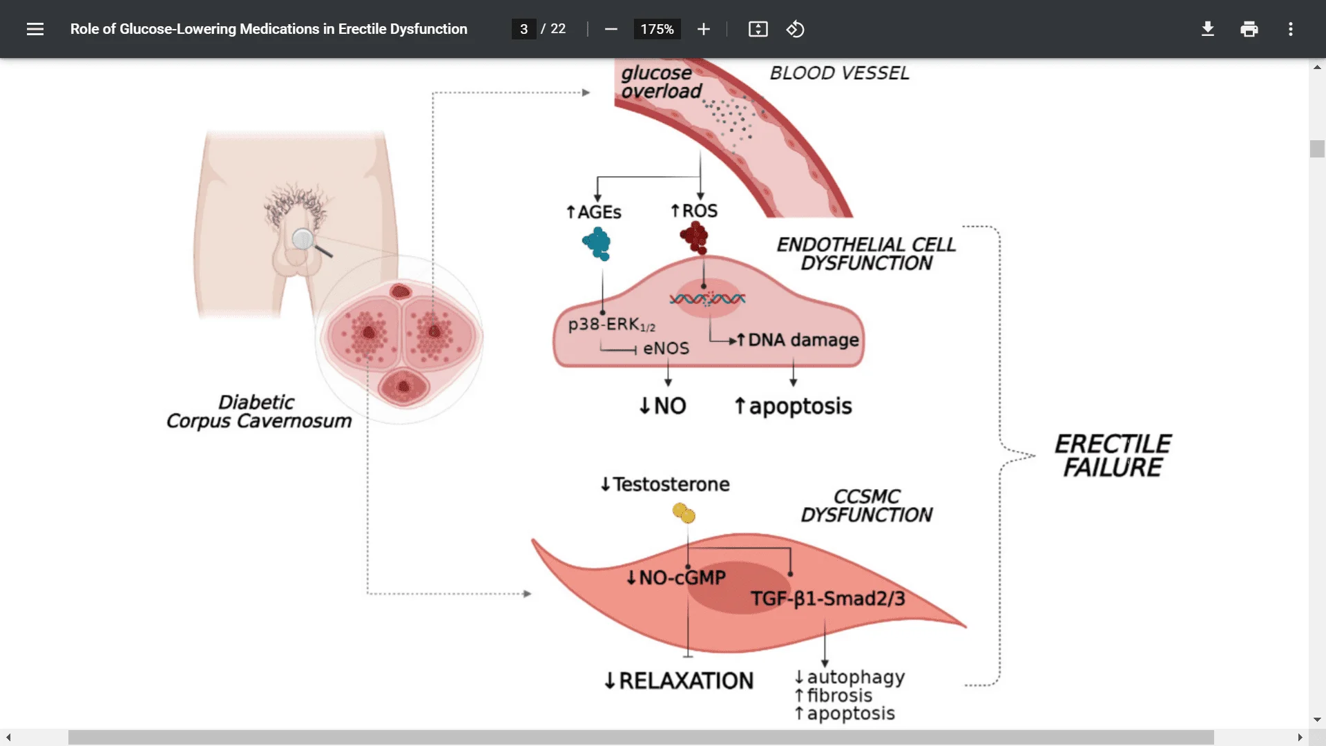 Screenshot (5709).webp