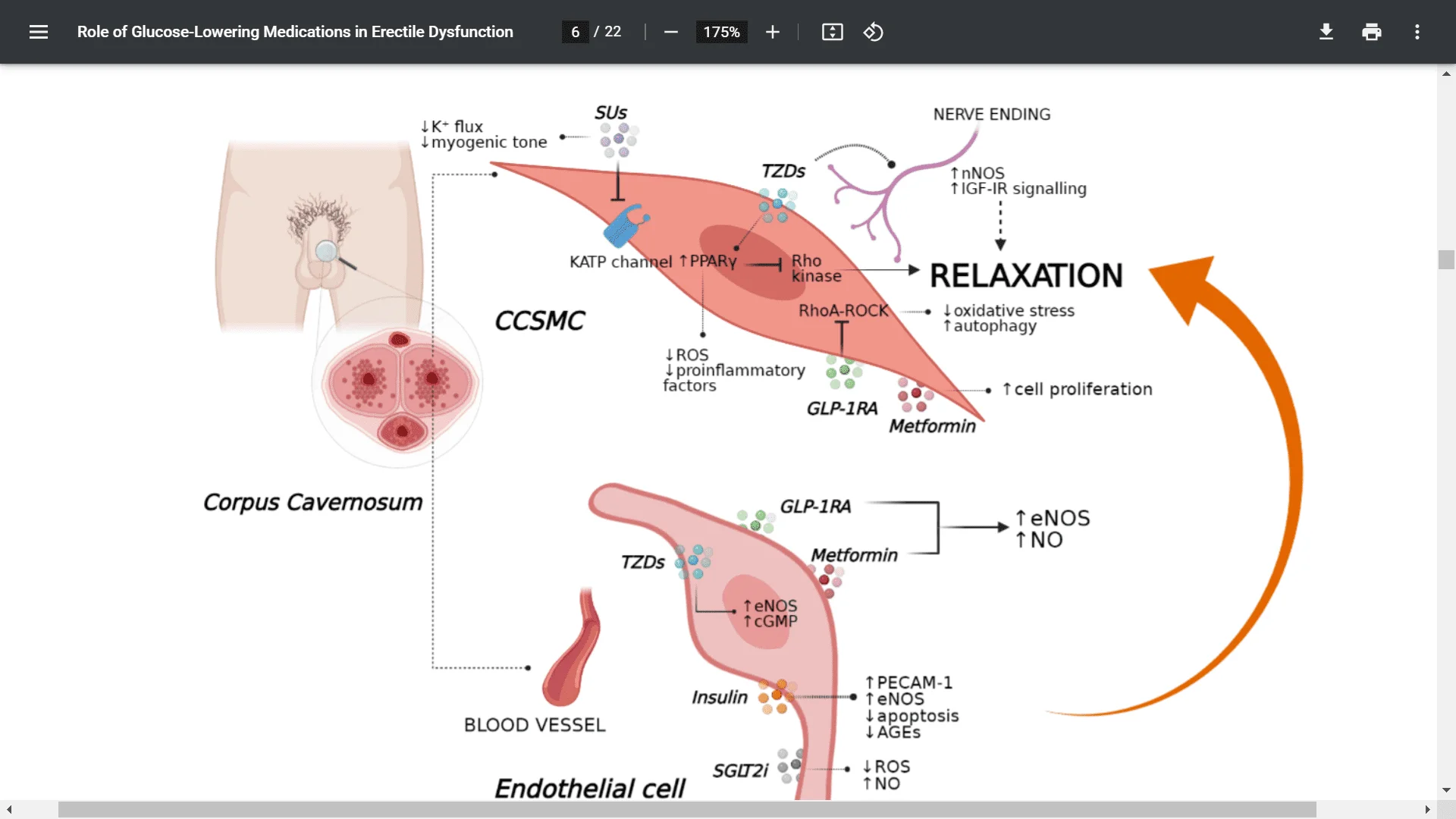 Screenshot (5710).webp