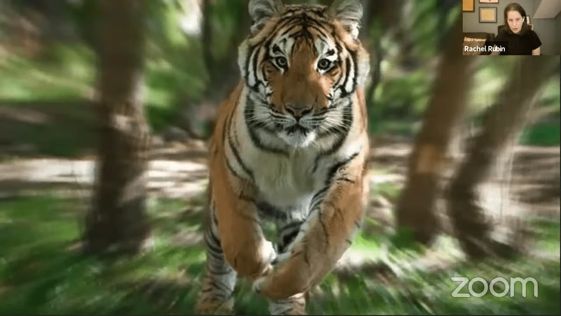 Screenshot (6586).webp