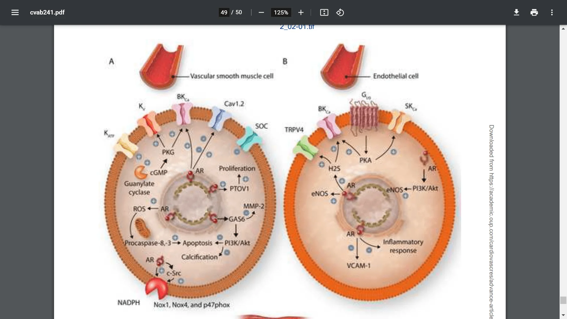 Screenshot (6886).webp