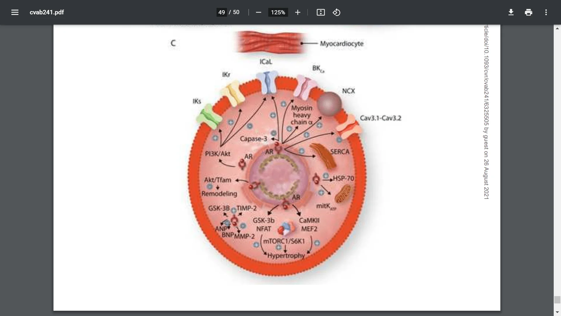 Screenshot (6887).webp