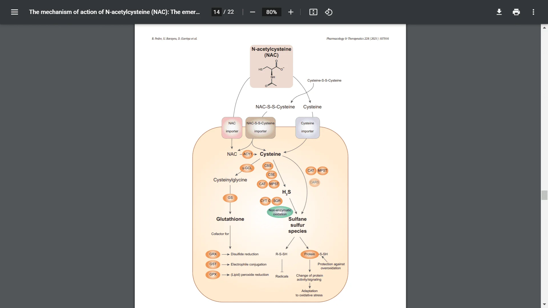 Screenshot (7630).webp