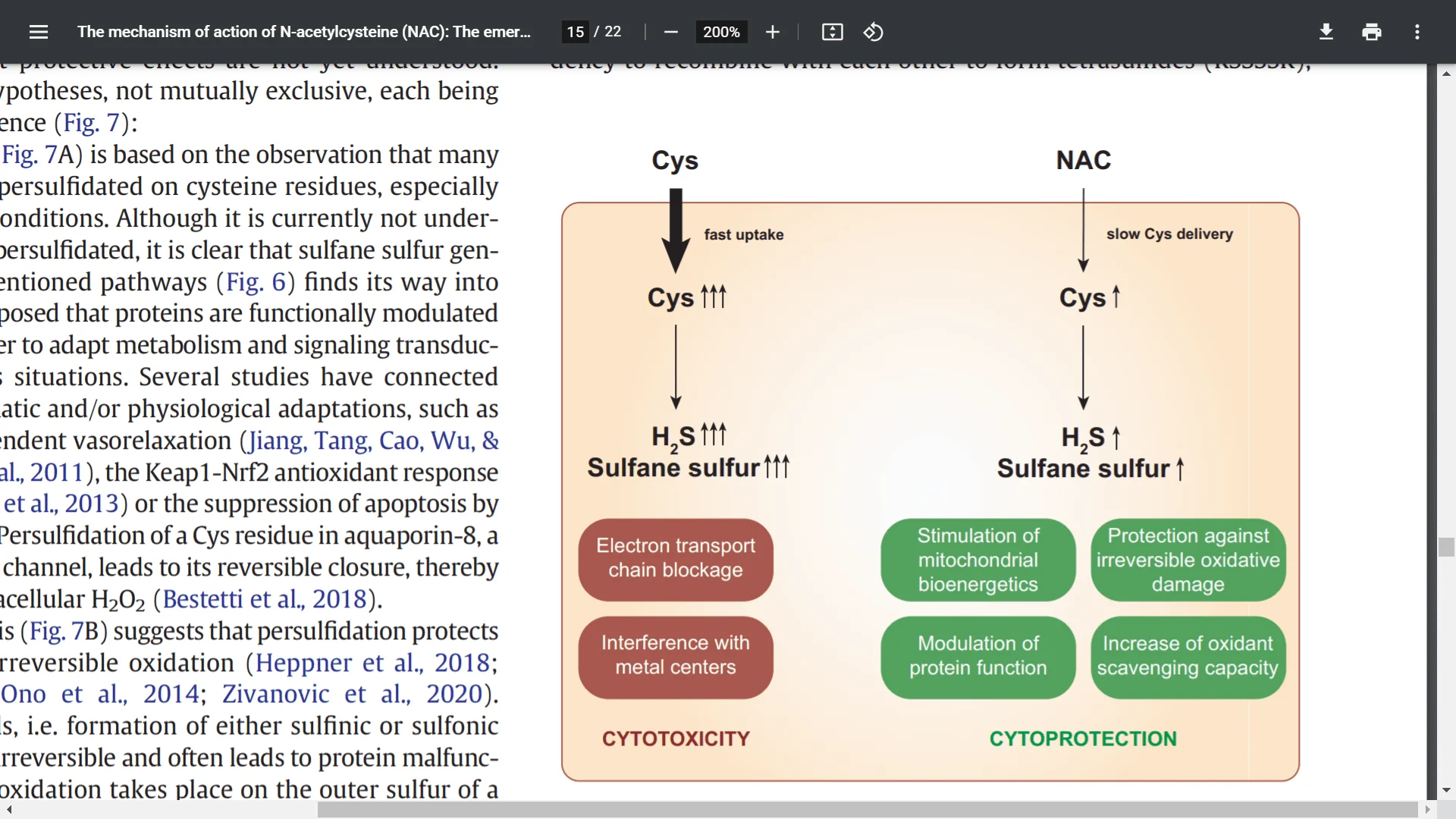 Screenshot (7631).webp