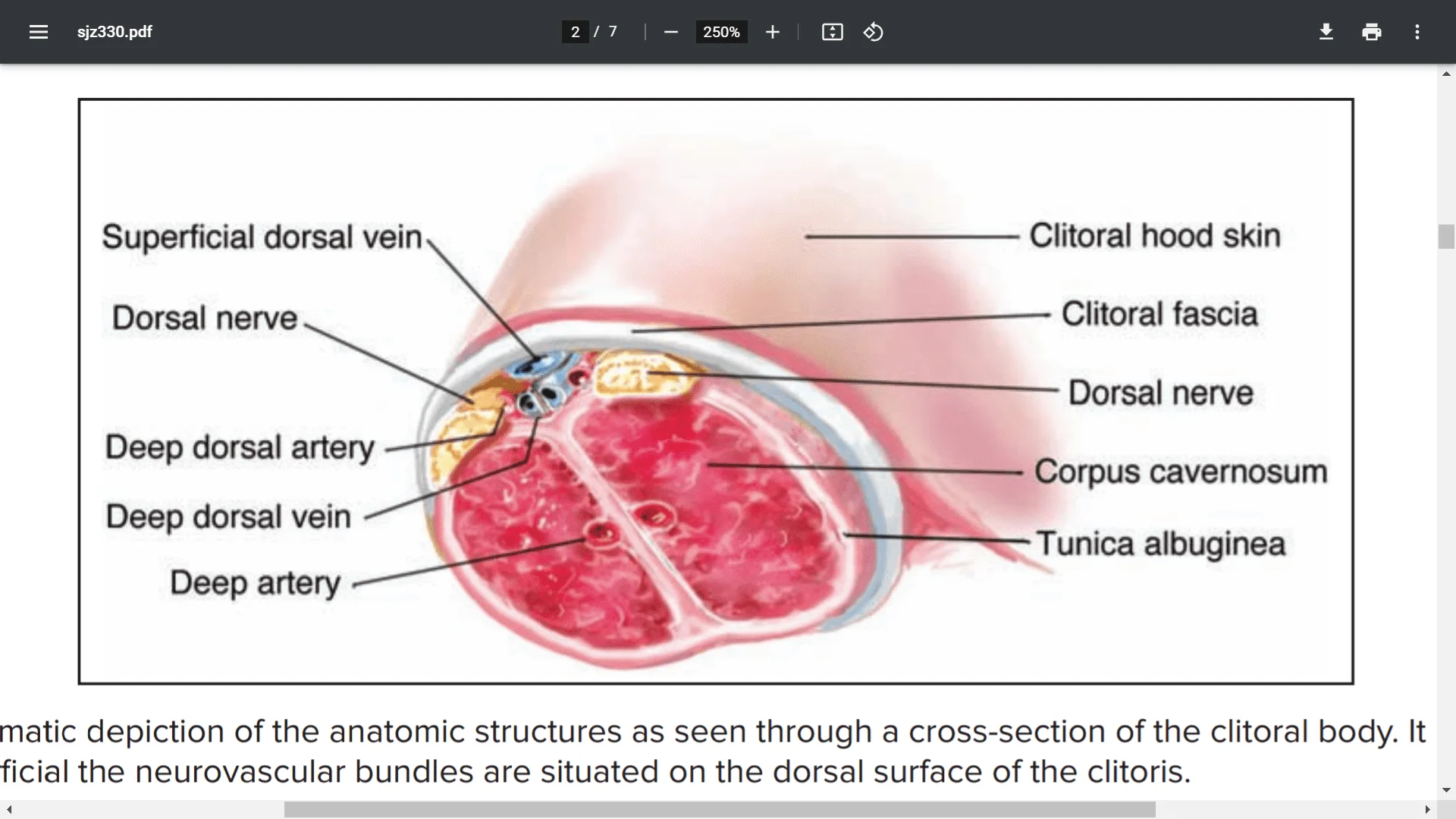 Screenshot (8145).webp