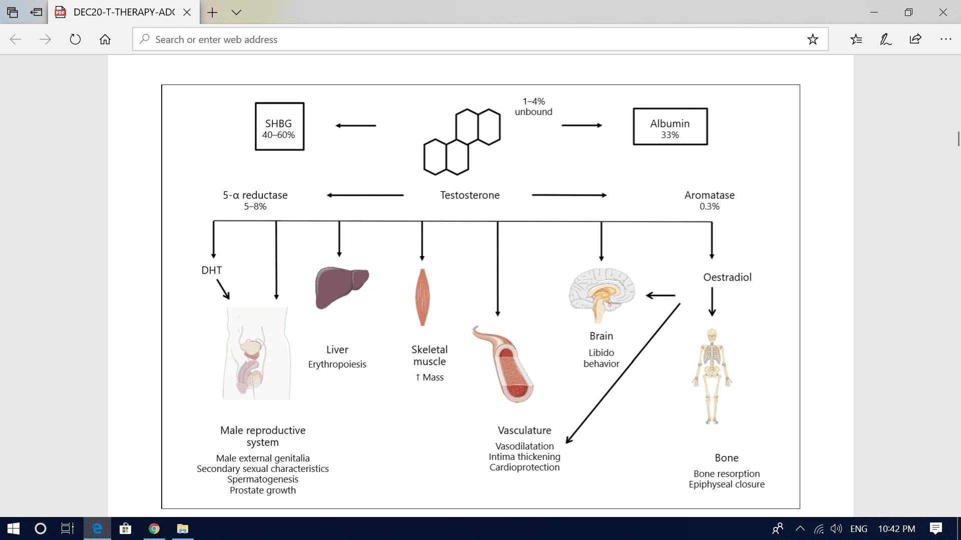 Screenshot (837).webp