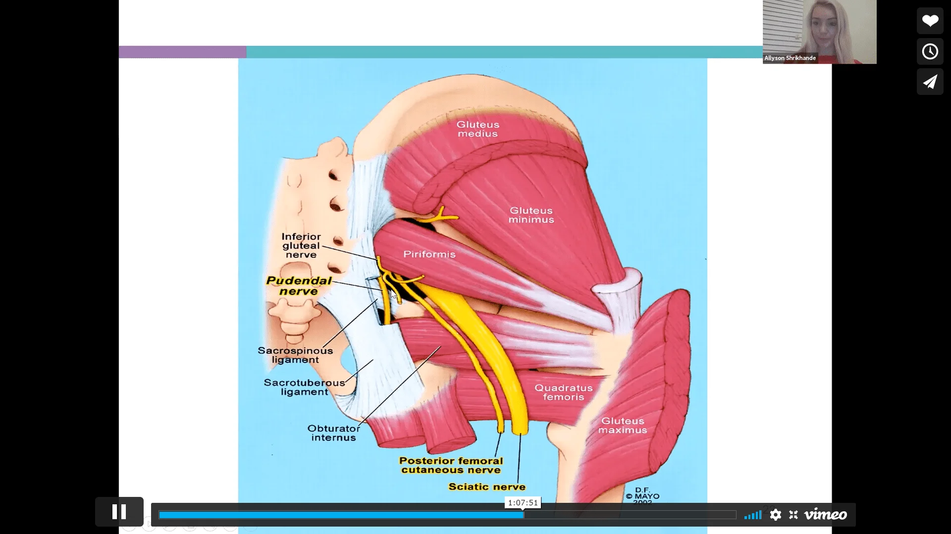 Screenshot (8961).webp