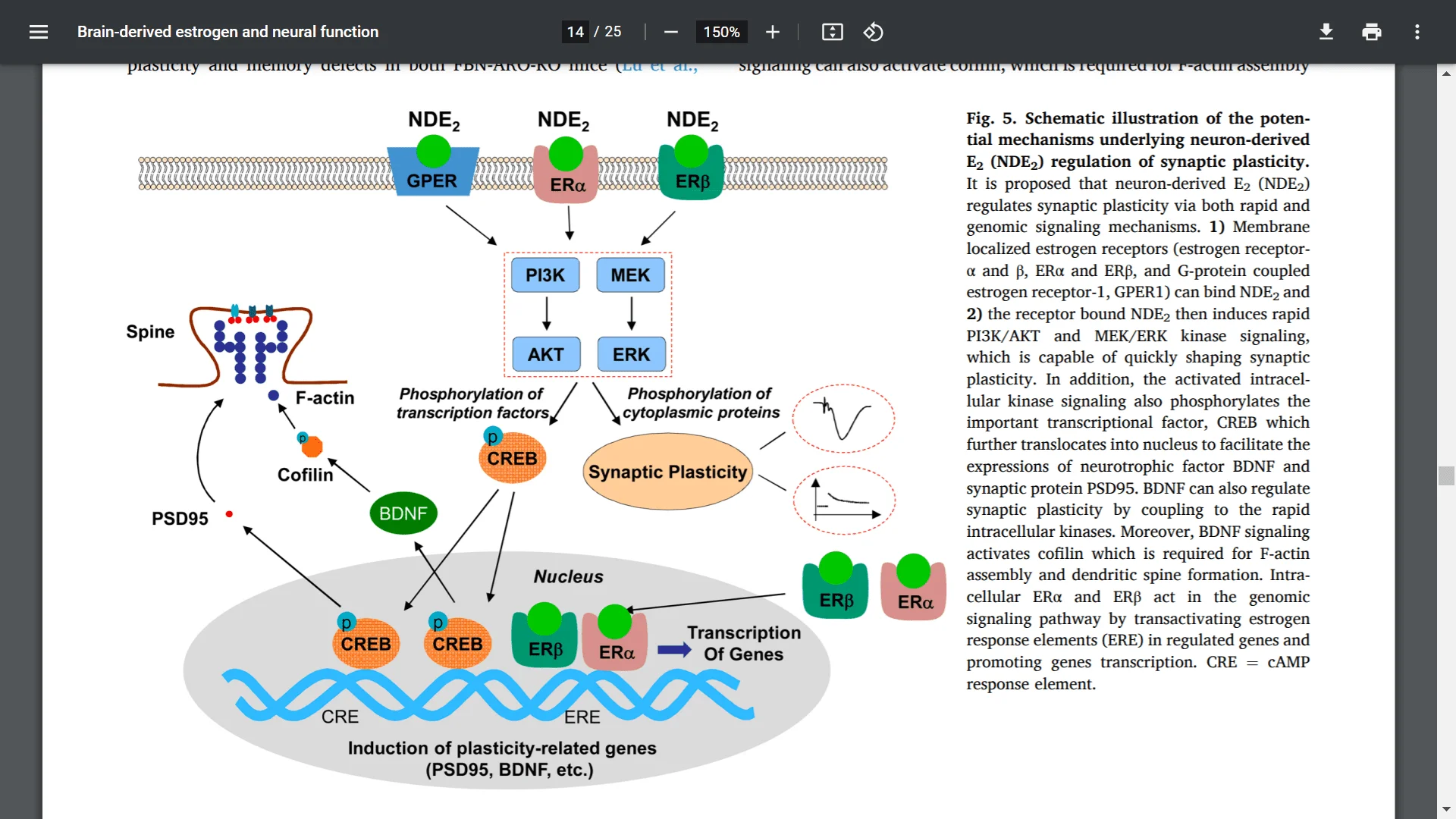 Screenshot (9371).webp