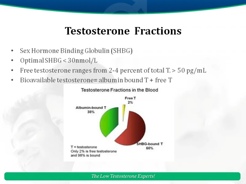 What is a Normal Blood Level of Testosterone? What Do Guidelines Say