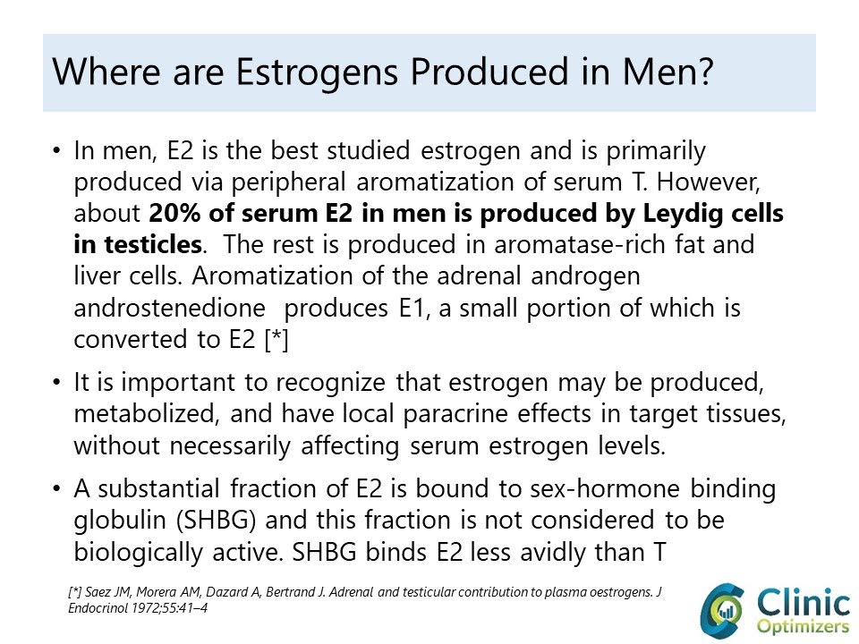 sources of estrogen in men.JPG