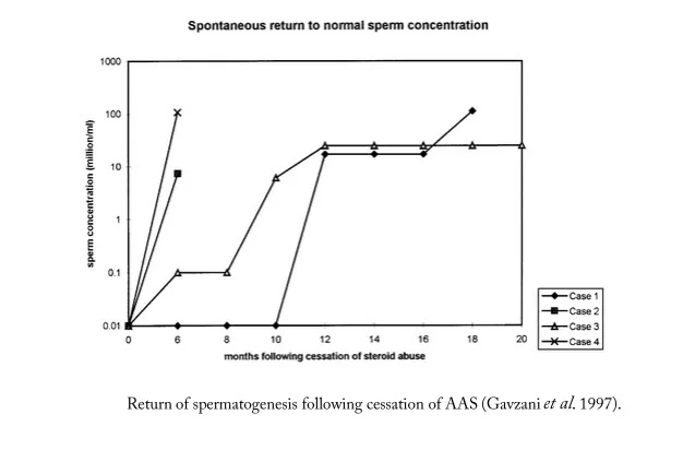sperm recovery after anabolic steroids.webp