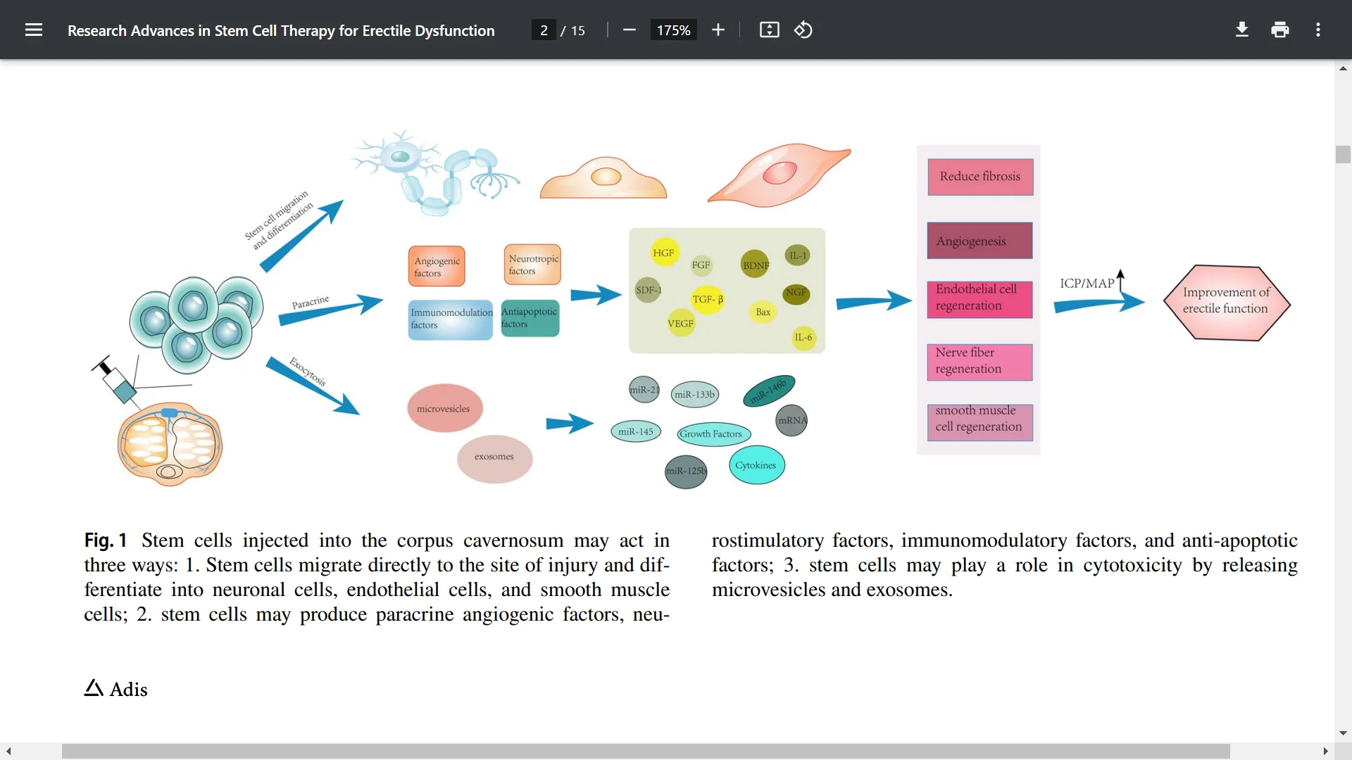 stem cells for ED.webp