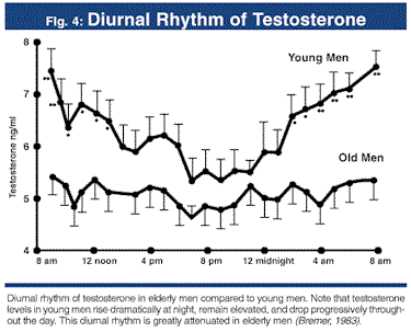 testosterone diurnal_pattern.gif
