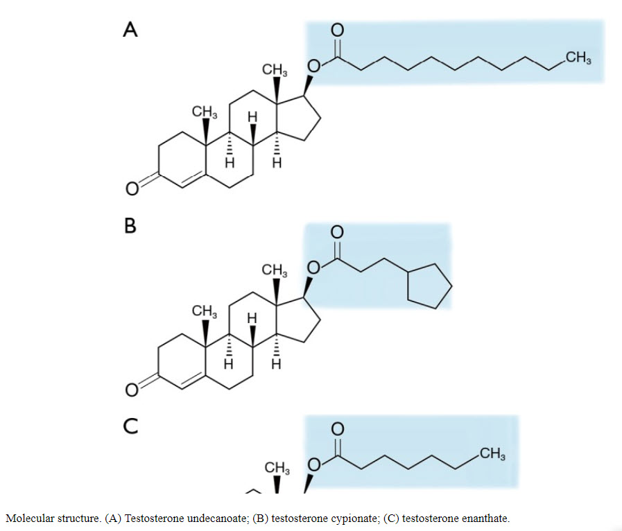testosterone ester molecules.jpg