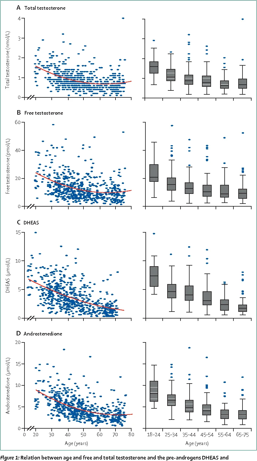 testosterone in women.webp