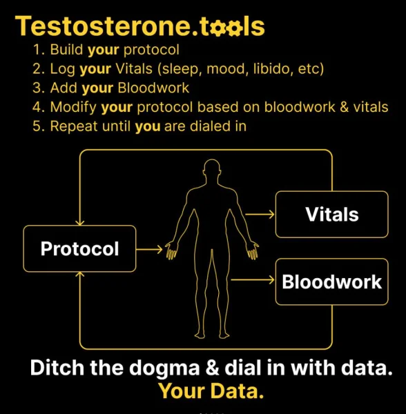 testosterone tools app.webp