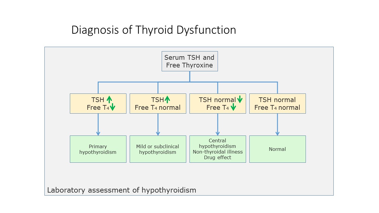 thyroid diagnosis.JPG