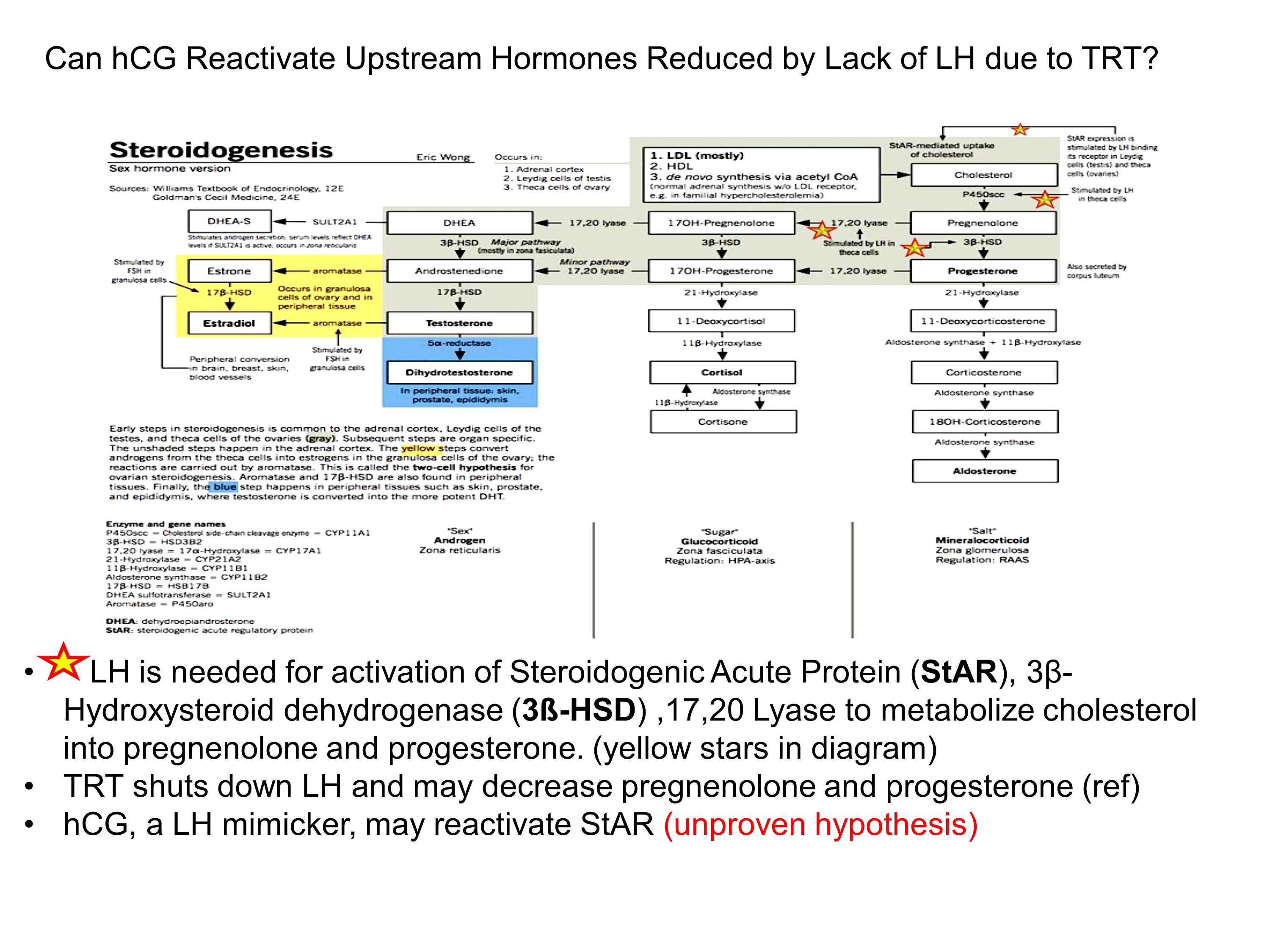 upstream hormones.JPG