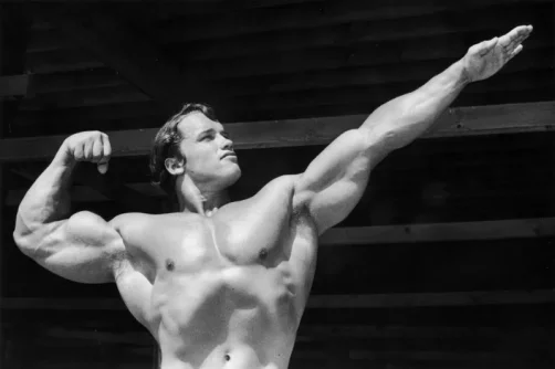arnold__schwarzenegger.webp arnold__schwarzenegger.webp