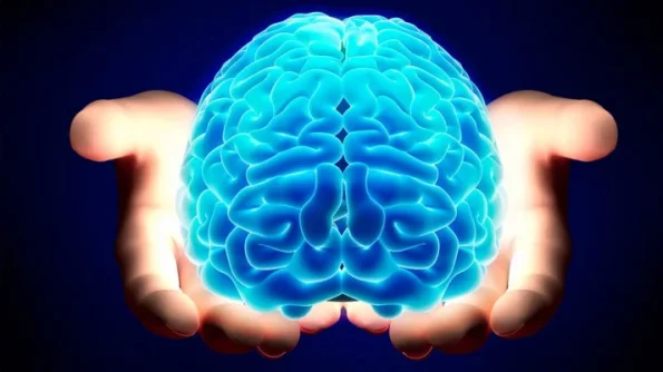 BrainHealth.webp BrainHealth.webp