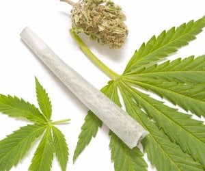 Joint-Marijuana-Leaf.jpg