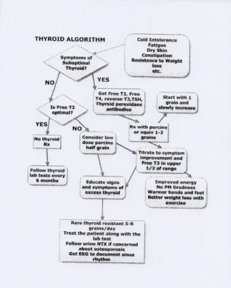 TRTdiagrams_Page_2.webp