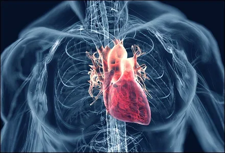 heart-disease.webp heart-disease.webp