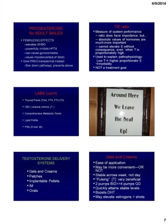 crislerslides_Page_07.webp