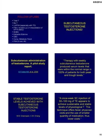 crislerslides_Page_11.webp