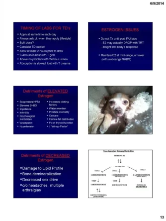 crislerslides_Page_13.webp