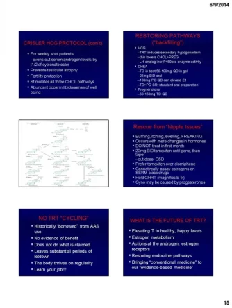 crislerslides_Page_15.webp