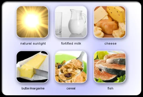 Osteoporosis_s22_vitamin_d.webp