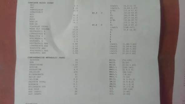 Labs b.webp