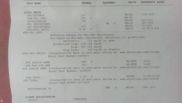 Labs.webp