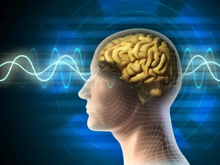 mindfulness.webp