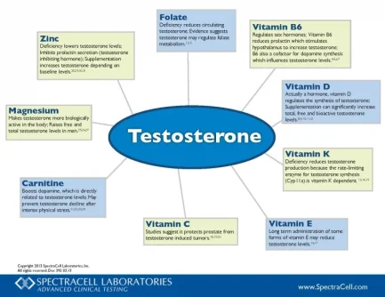 testosterone supplements.webp