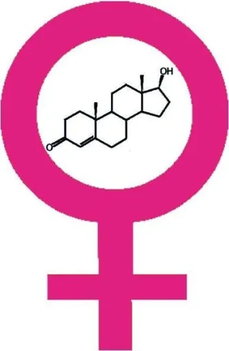 actions_of_testosterone_in_women.webp actions_of_testosterone_in_women.webp
