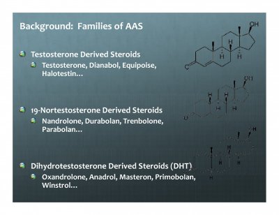 anabolic steroid slides_Page_08.jpg