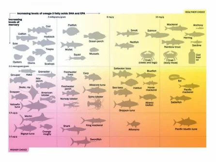 fishsafety.png.webp