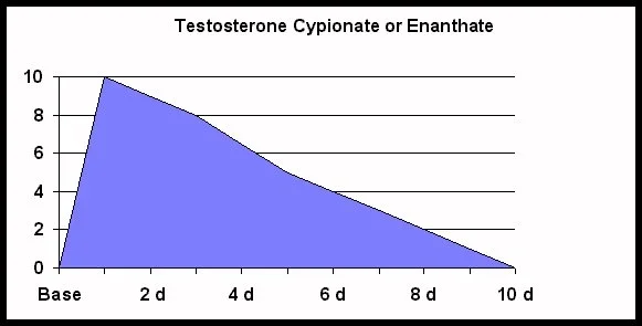 T level 10 days.webp