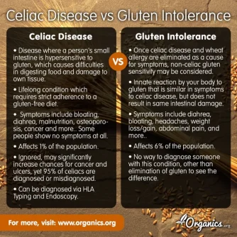 gluten intolerance celiac.webp