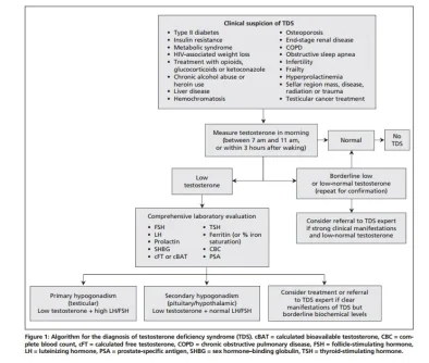 Hypogonadism Algorythm.webp