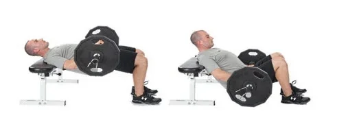 hip thrusts.webp hip thrusts.webp