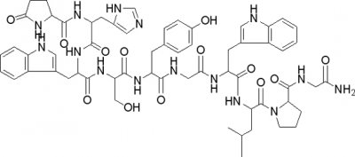 LH molecule.JPG