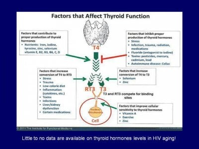 factors that affect thyroid.jpg