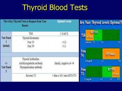 optimum thyroid hormone levels.jpg