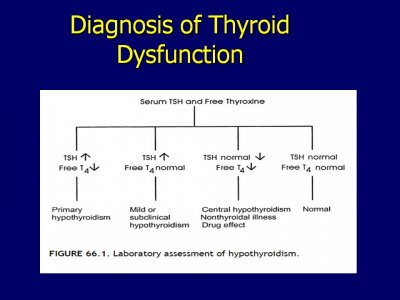 thyroid diagnosis algorythm.jpg