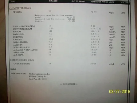 100_6817.webp