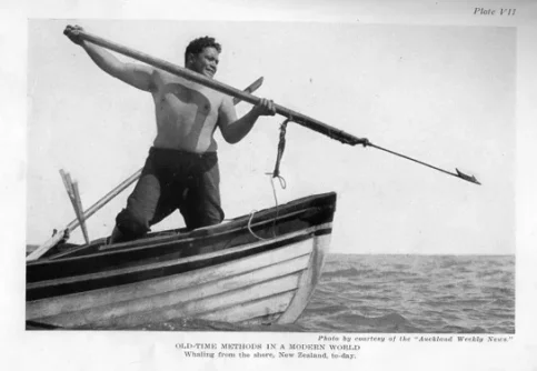 harpoon.webp